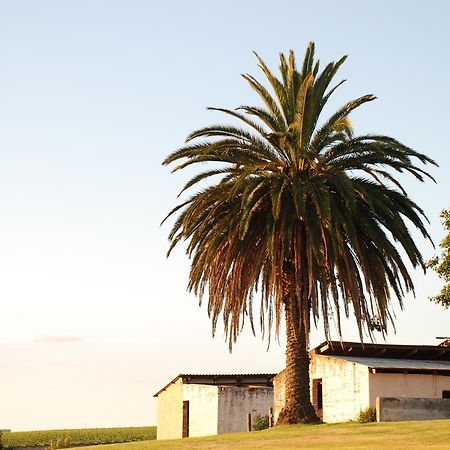 Dirtopia Trail Lodge Stellenbosch Ngoại thất bức ảnh