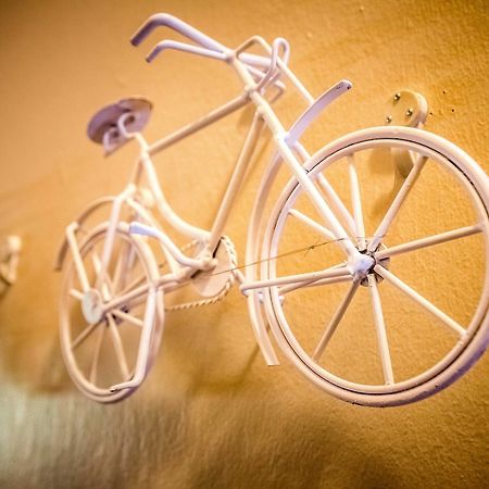 Dirtopia Trail Lodge Stellenbosch Ngoại thất bức ảnh