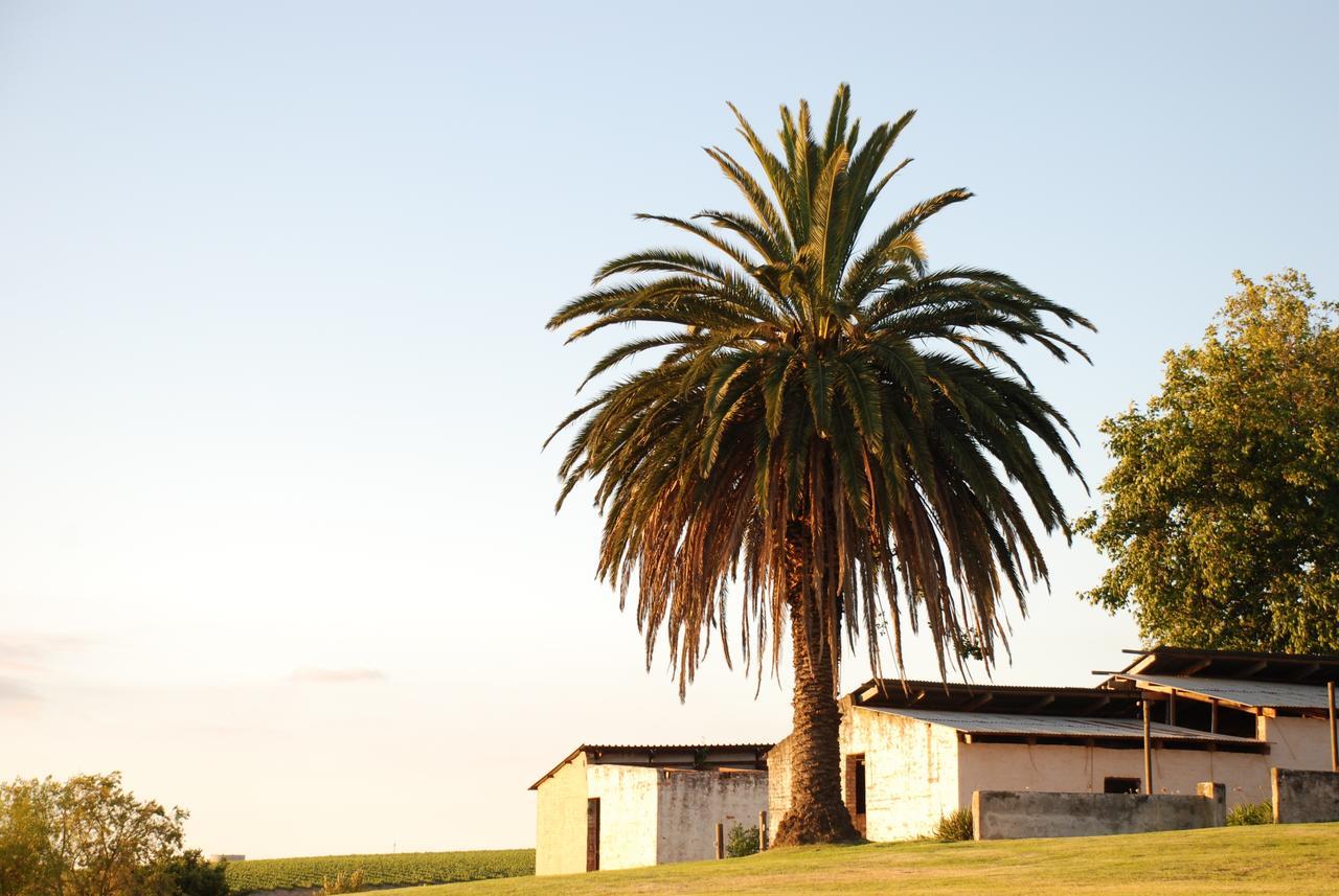 Dirtopia Trail Lodge Stellenbosch Ngoại thất bức ảnh